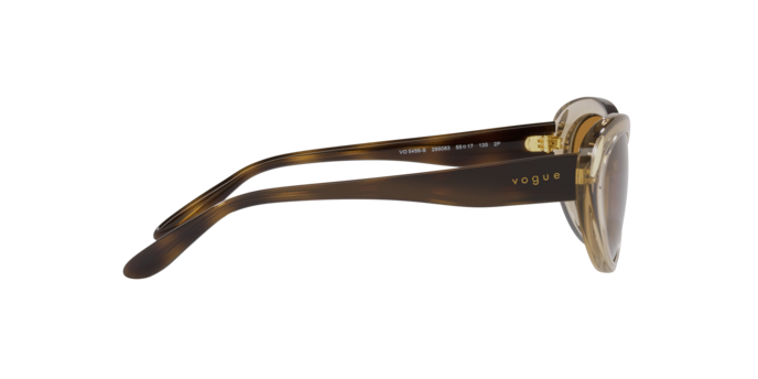 Vogue Sunglasses VO5456S 299083