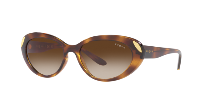 Vogue Sunglasses VO5456S W65613