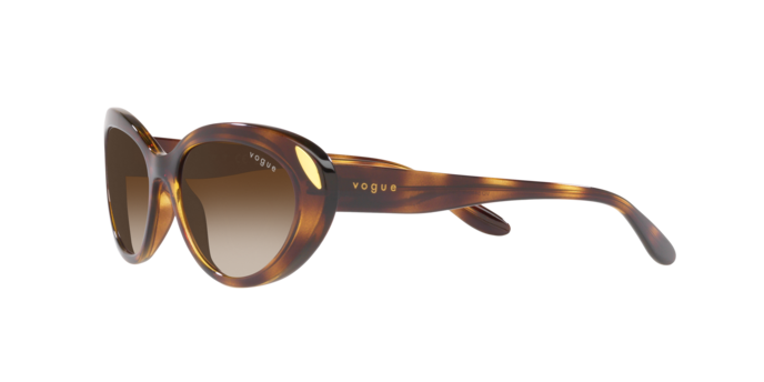 Vogue Sunglasses VO5456S W65613