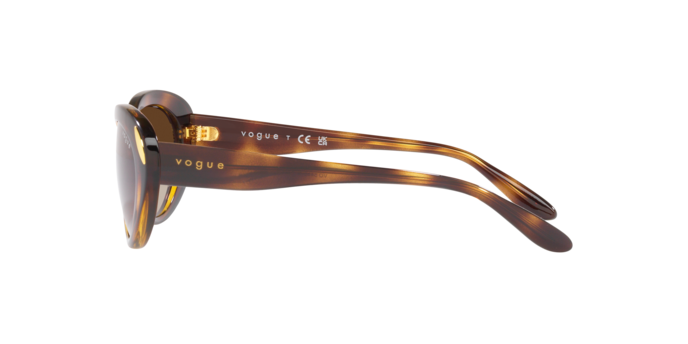 Vogue Sunglasses VO5456S W65613