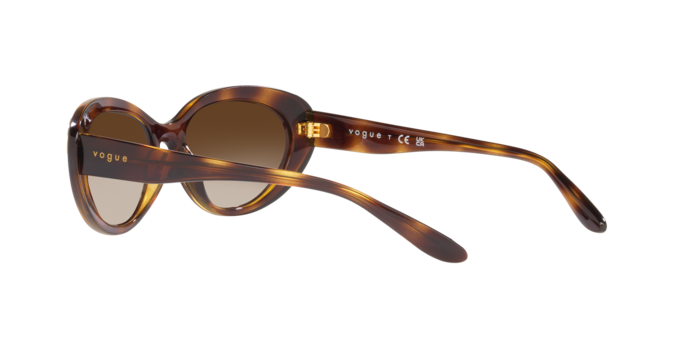 Vogue Sunglasses VO5456S W65613