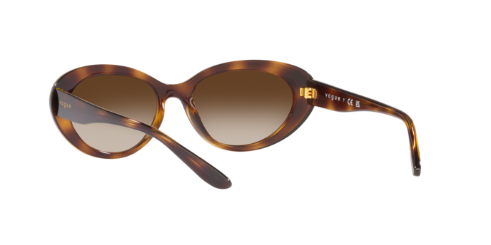 Vogue Sunglasses VO5456S W65613