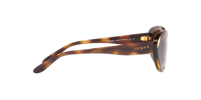 Vogue Sunglasses VO5456S W65613