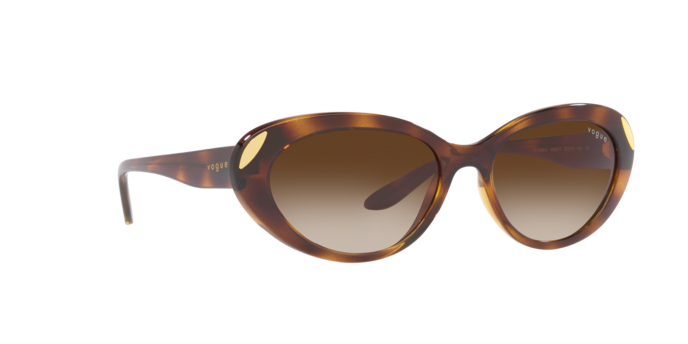 Vogue Sunglasses VO5456S W65613