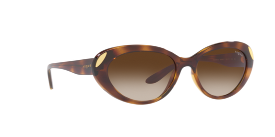 Vogue Sunglasses VO5456S W65613