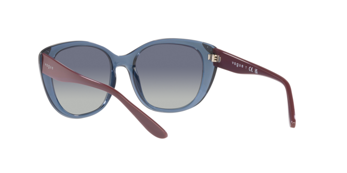 Vogue Sunglasses VO5457S 27644L