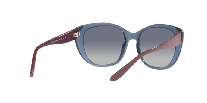 Vogue Sunglasses VO5457S 27644L