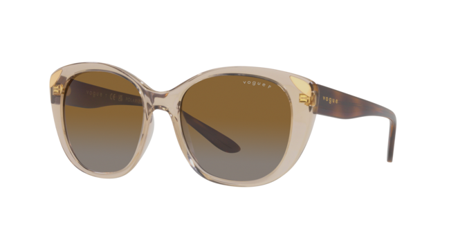 Vogue Sunglasses VO5457S 2990T5