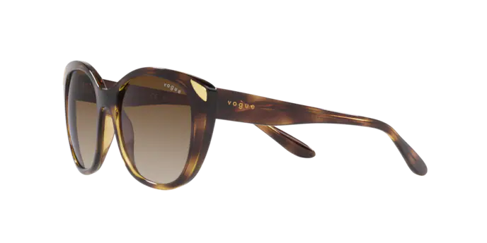 Vogue Sunglasses VO5457S W65613