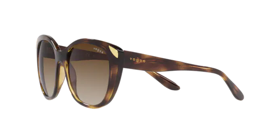 Vogue Sunglasses VO5457S W65613