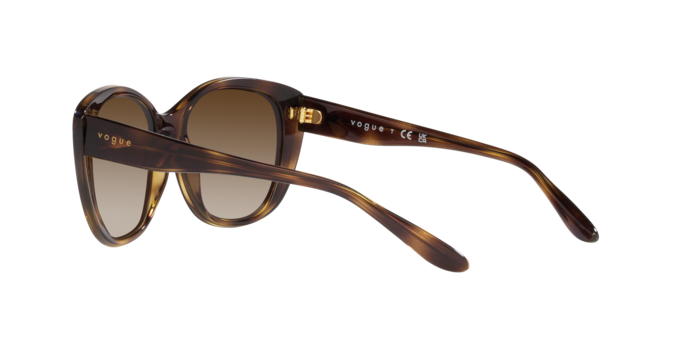 Vogue Sunglasses VO5457S W65613