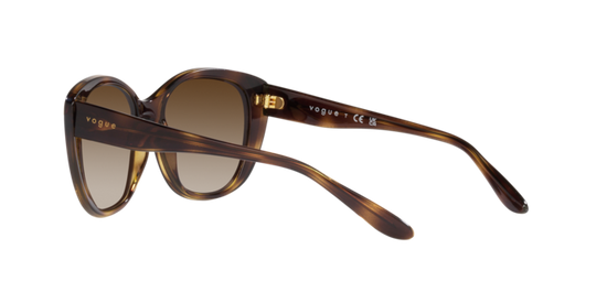 Vogue Sunglasses VO5457S W65613