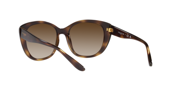 Vogue Sunglasses VO5457S W65613