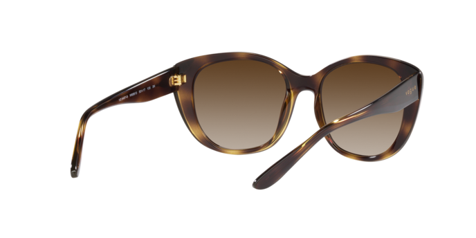 Vogue Sunglasses VO5457S W65613