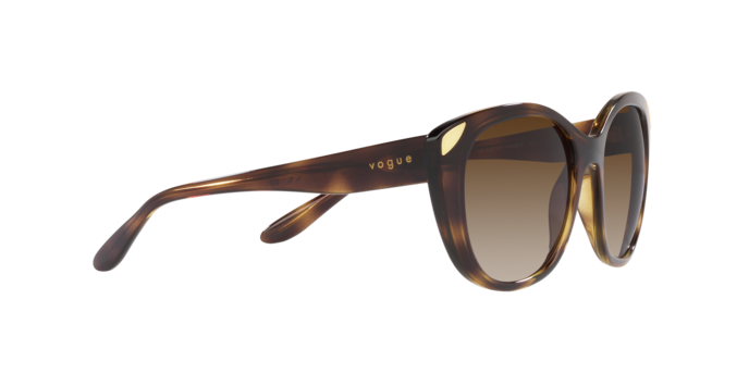 Vogue Sunglasses VO5457S W65613