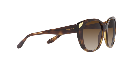 Vogue Sunglasses VO5457S W65613