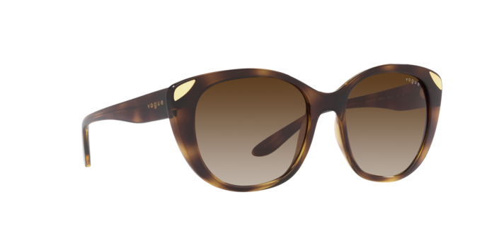 Vogue Sunglasses VO5457S W65613