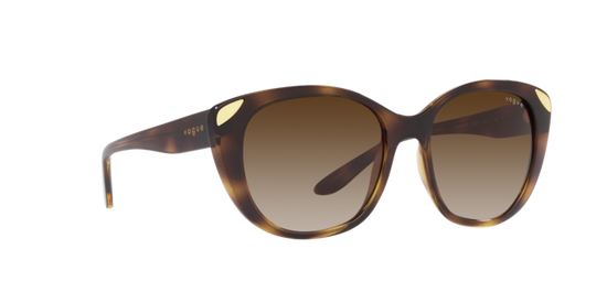 Vogue Sunglasses VO5457S W65613