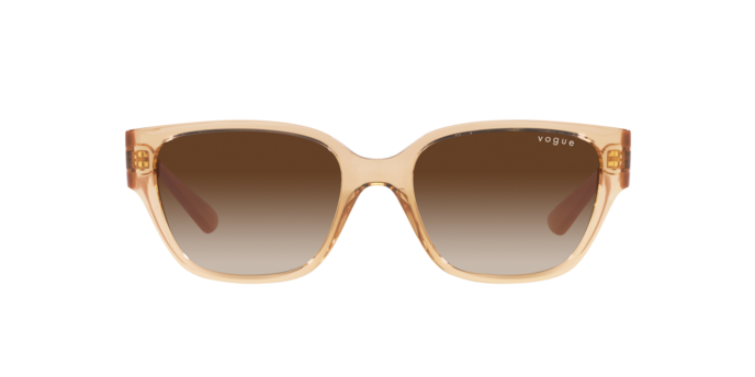 Vogue Sunglasses VO5459SB 282613