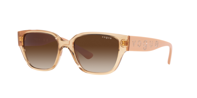 Vogue Sunglasses VO5459SB 282613