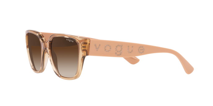 Vogue Sunglasses VO5459SB 282613