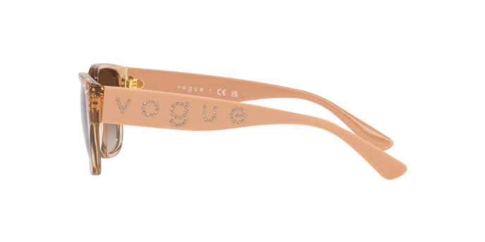 Vogue Sunglasses VO5459SB 282613