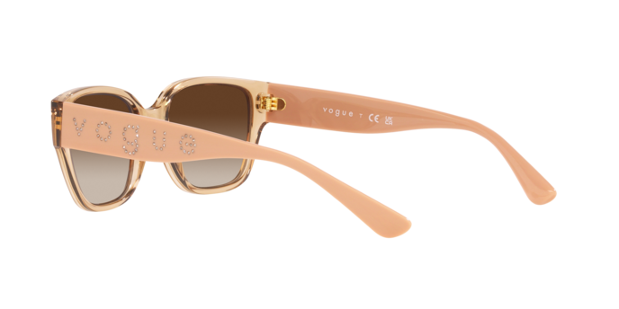 Vogue Sunglasses VO5459SB 282613