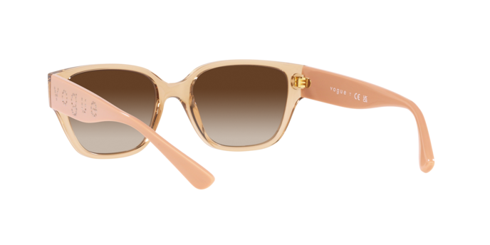 Vogue Sunglasses VO5459SB 282613