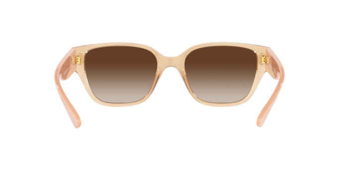 Vogue Sunglasses VO5459SB 282613