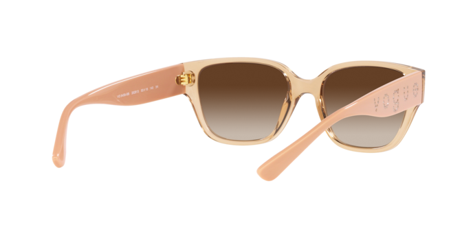 Vogue Sunglasses VO5459SB 282613