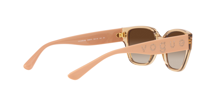 Vogue Sunglasses VO5459SB 282613