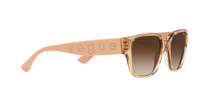 Vogue Sunglasses VO5459SB 282613