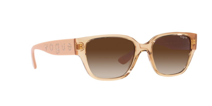 Vogue Sunglasses VO5459SB 282613