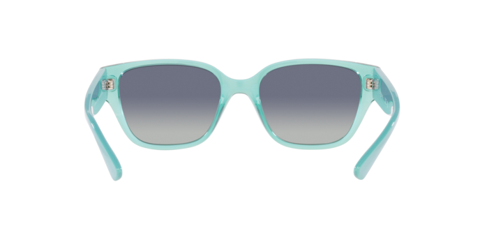 Vogue Sunglasses VO5459SB 30324L