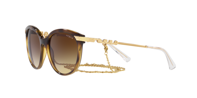 Vogue Sunglasses VO5460S W65613