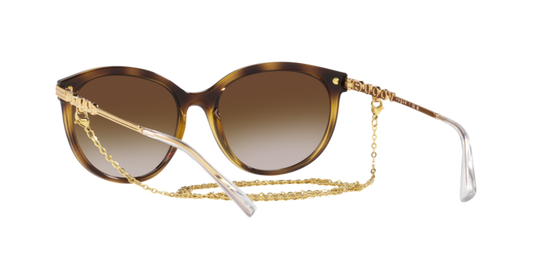 Vogue Sunglasses VO5460S W65613