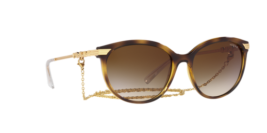 Vogue Sunglasses VO5460S W65613