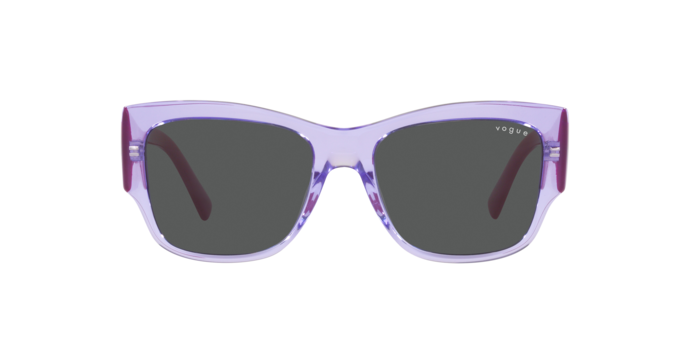 Vogue Sunglasses VO5462S 295087