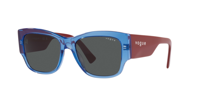 Vogue Sunglasses VO5462S 295187