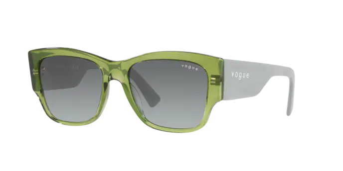 Vogue Sunglasses VO5462S 295311