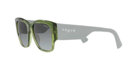 Vogue Sunglasses VO5462S 295311