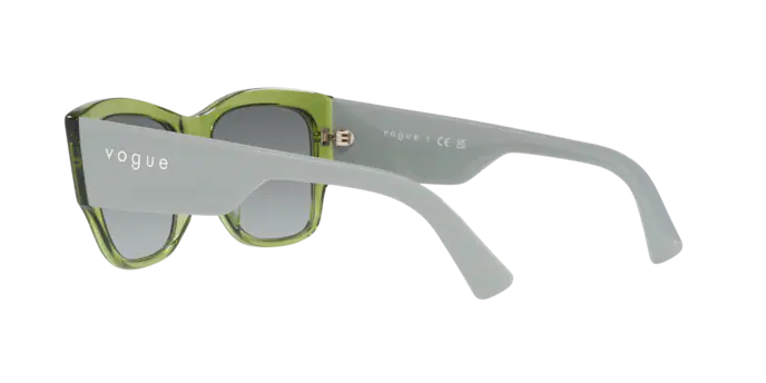 Vogue Sunglasses VO5462S 295311