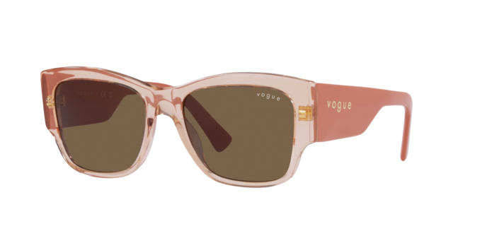 Vogue Sunglasses VO5462S 295473
