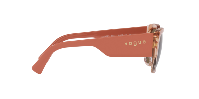 Vogue Sunglasses VO5462S 295473