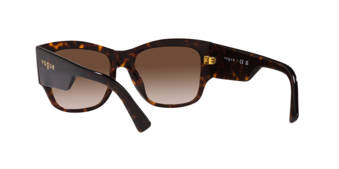 Vogue Sunglasses VO5462S W65613