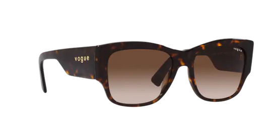 Vogue Sunglasses VO5462S W65613