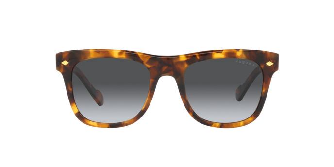 Vogue Sunglasses VO5465S 2819T3
