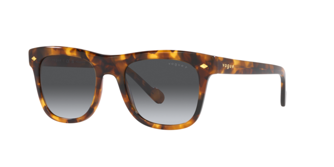 Vogue Sunglasses VO5465S 2819T3
