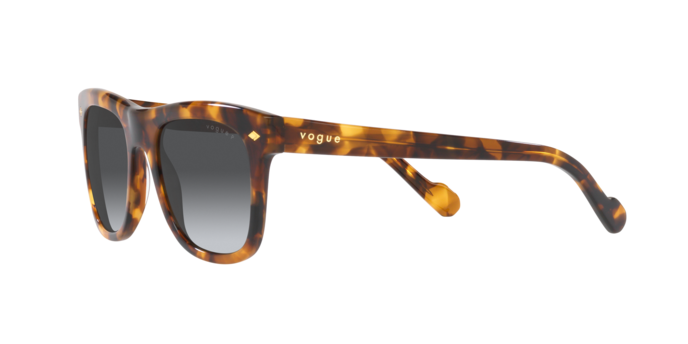 Vogue Sunglasses VO5465S 2819T3