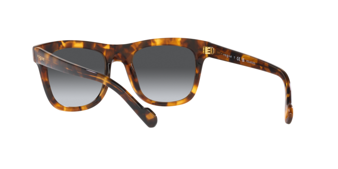 Vogue Sunglasses VO5465S 2819T3
